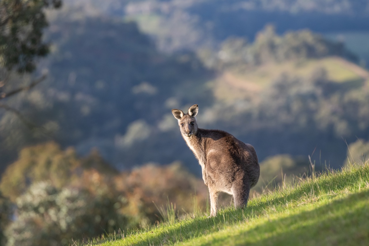 Australia 2021