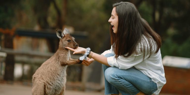 Estudiar y trabajar en Australia